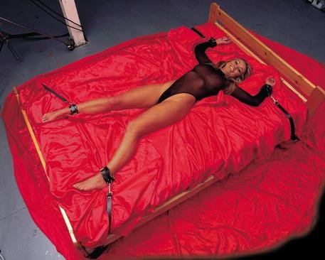 LEATHER BED STRAPS
