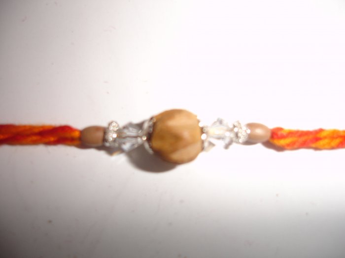 Rakhi044