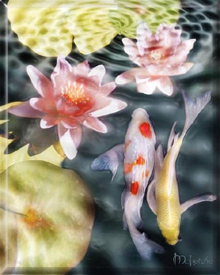 KOI WITH YELLOW LILY PADS