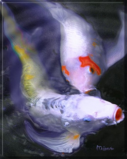 ROMANTIC KOI