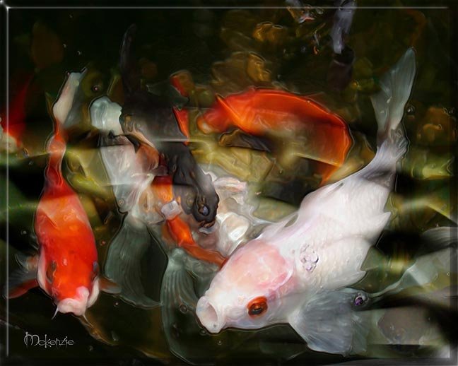 MYSTICAL KOI