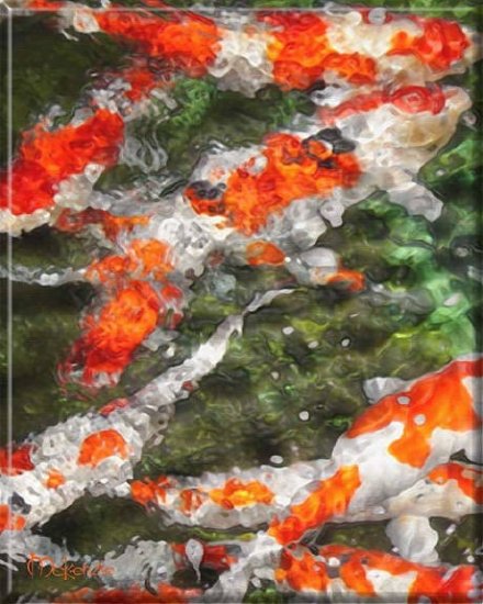 ABSTRACT ORANGE KOI