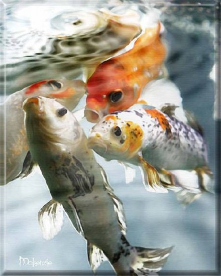 4 KOI