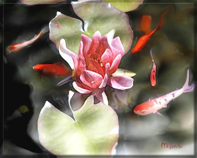 SMALL ORANGE KOI WITH LILY