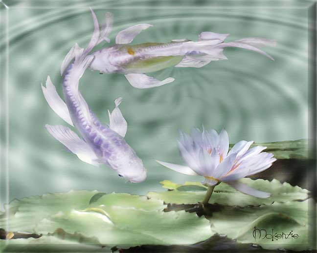 2 KOI WITH PURPLE LILY