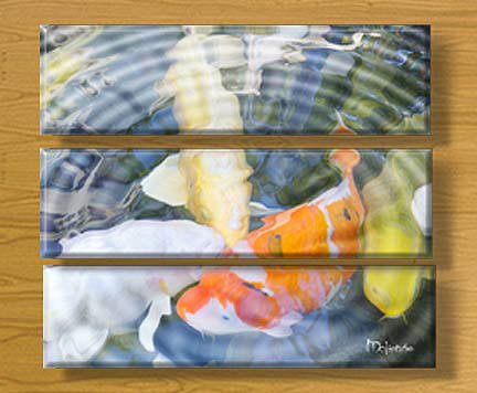 SOFT KOI (TRIPTYCH) (8 x 30) X THREE