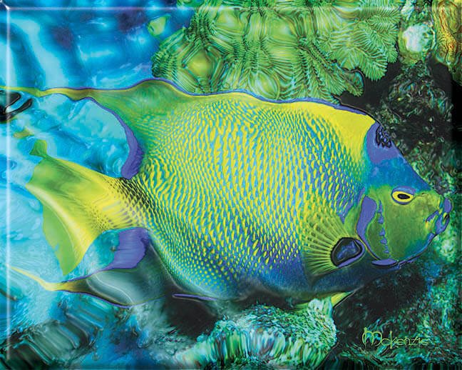 GREEN FISH DREAM