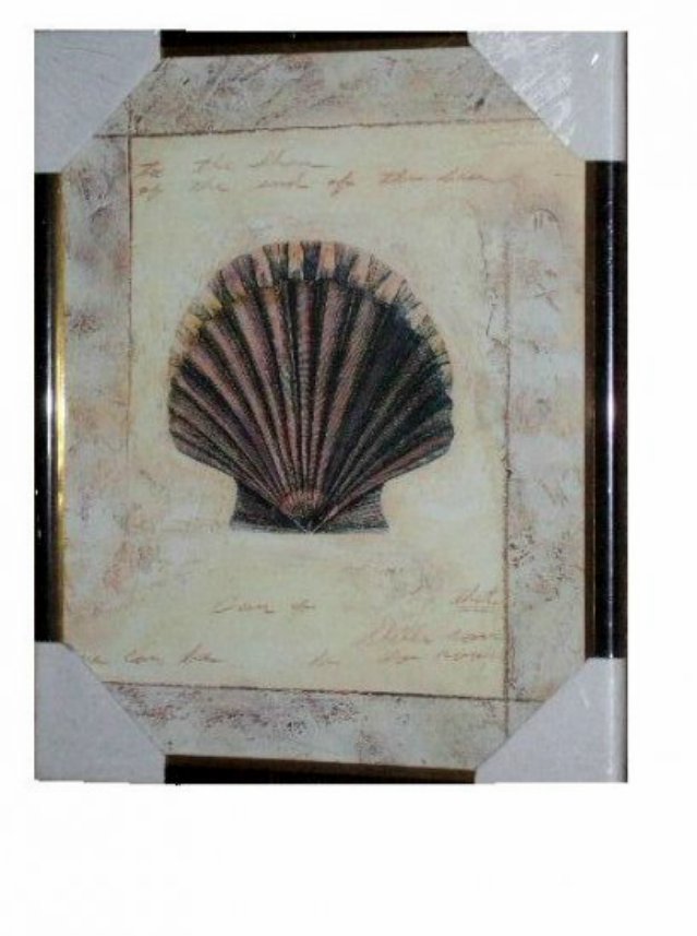 Seashell Print Wall Art Beach Decor