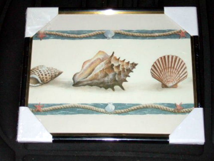 Nautical Seashells Framed Print Picture Wall Decor
