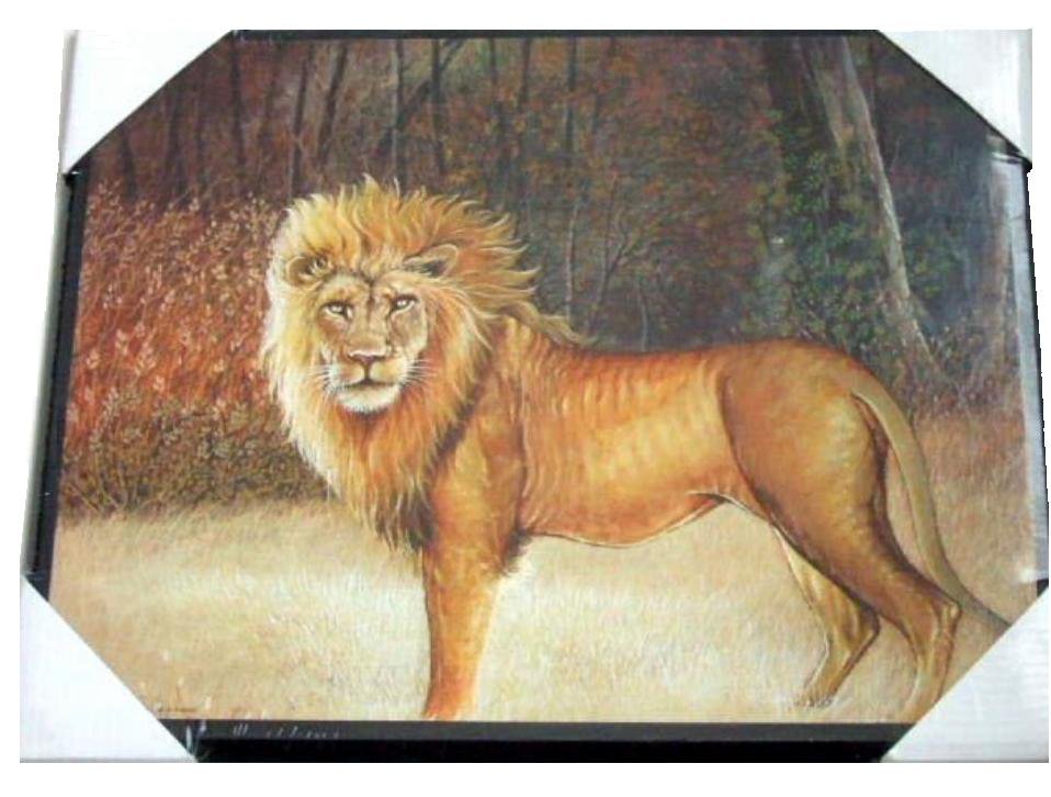 African Lion Plaque Picture Wall Decor