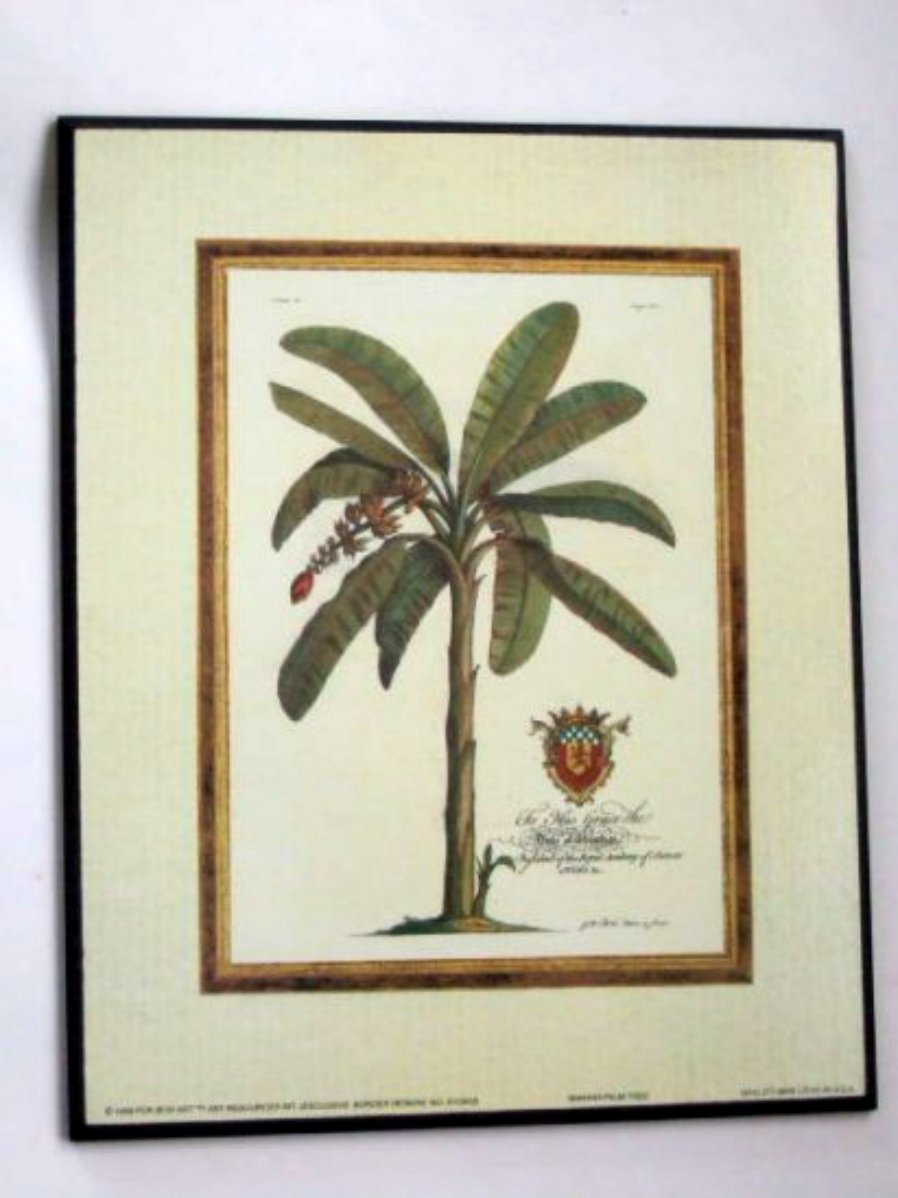 Banana Palm Tree Plaque Wall Decor
