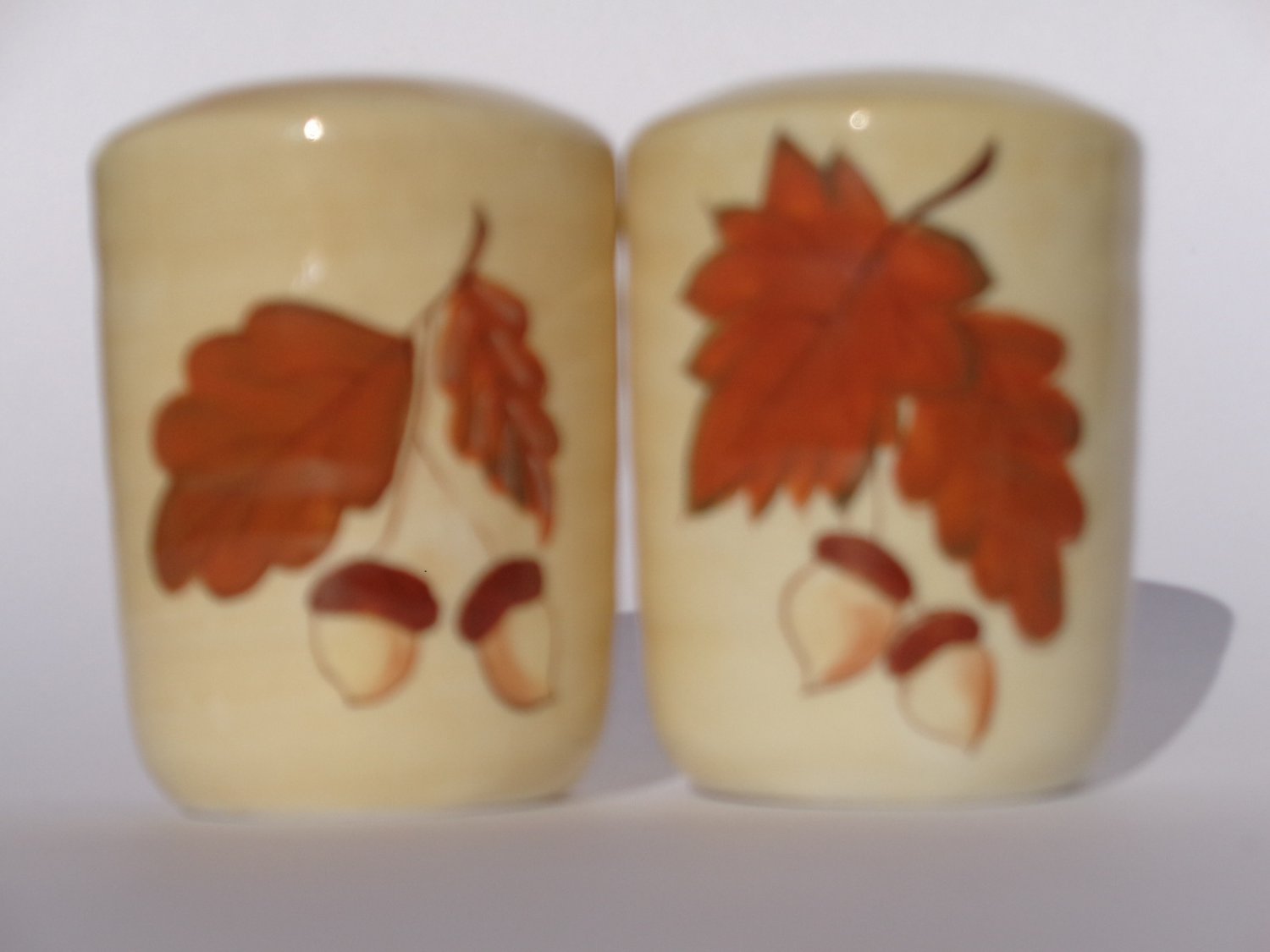 Maple Leaves Acorns Salt Pepper Set Fall Decor