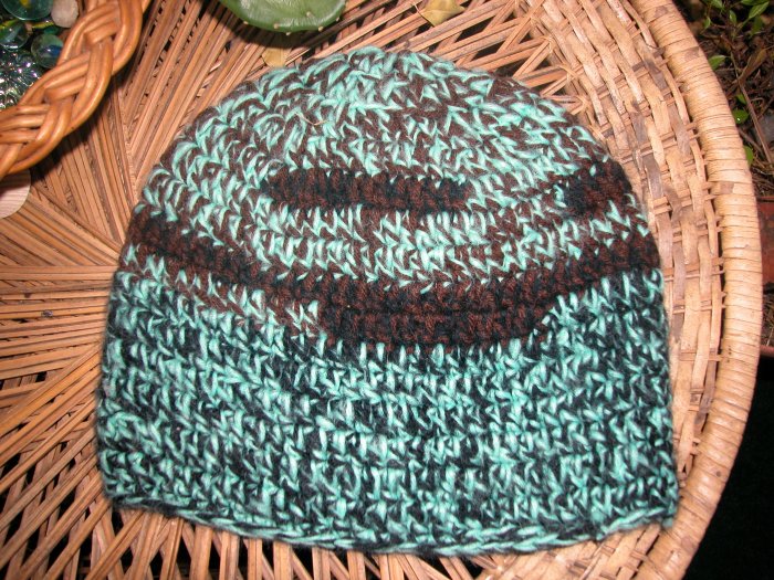 turquoise random striped toboggan