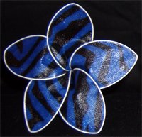 Royal Blue Zebra