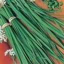 Garlic Chive Seeds