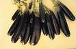 Eggplant Seeds - Little Fongers - Organic