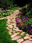 Creeping Thyme (Walk on Me Plants)