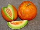 Thai Golden Round Melon - VERY Rare!