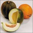 Collective Farm Woman Melon