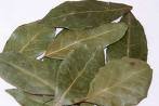 Bay Leaf Powder