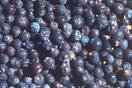 Juniper Berries - Whole
