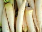 Japanese Winawase Radish