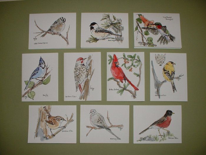 NOTECARDS BACKYARD BIRDS by Maren Phillips