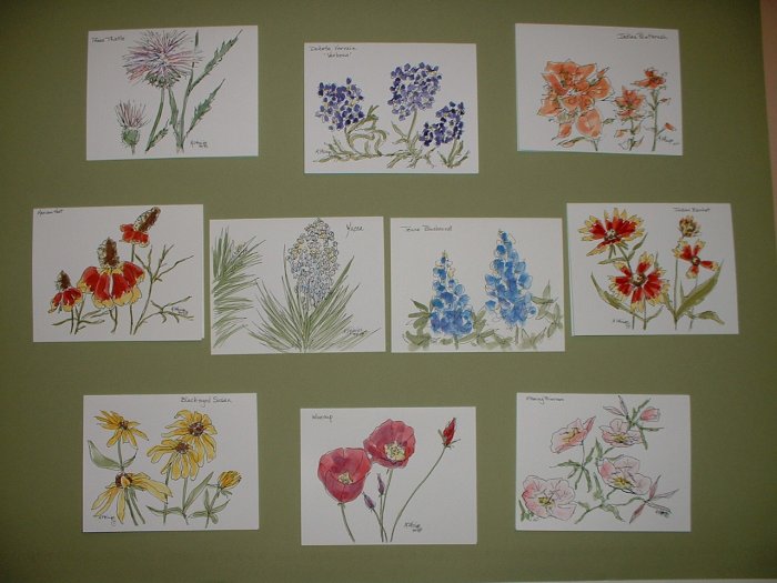 WILDFLOWER NOTECARDS by Maren Phillips