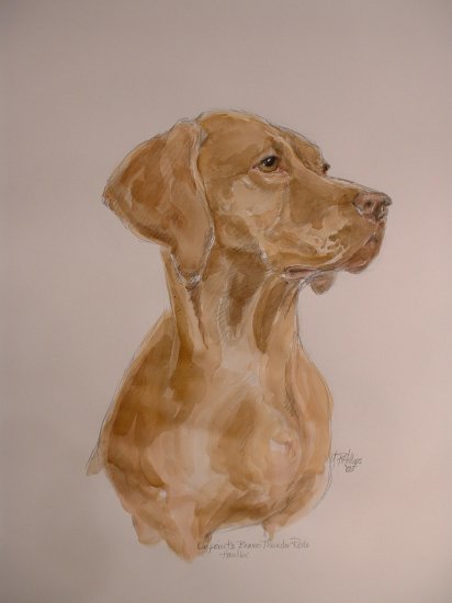 CUSTOM PORTRAITS ........by Maren Phillips