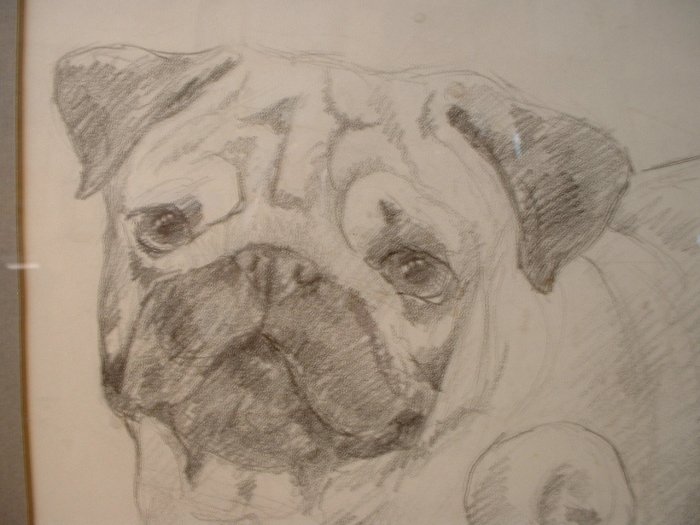 PENCIL PORTRAITS ........ by Maren Phillips