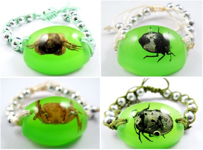Wholesale Lot 6 Real Insect Bug Oval Amber Bracelets New