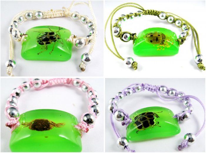 Wholesale Lot 6 Real Insect Bug Charm Amber Bracelets