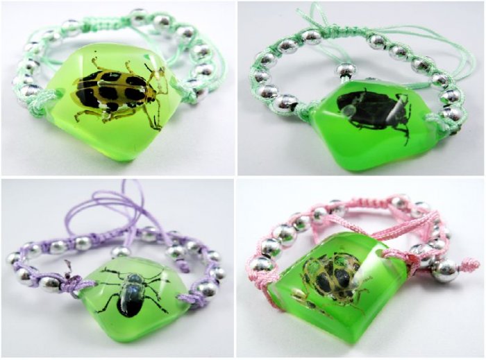 Wholesale Lot 6 Real Insect Bug Amber Pentagon Bracelets New
