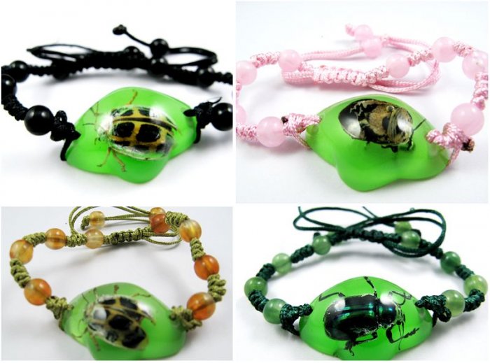 Wholesale Lot 6 Real Insect Bug Amber Polygon Bracelets New