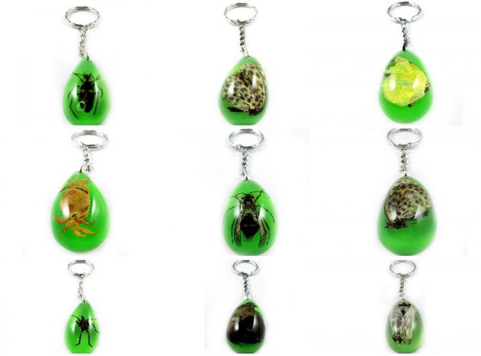 Wholesale Lot 6 Insect Bug Oval Shape Key Chain Keyring