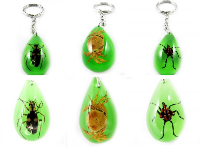 Wholesale Lot 6 Insect Bug Oval Green Key Chain Keyring