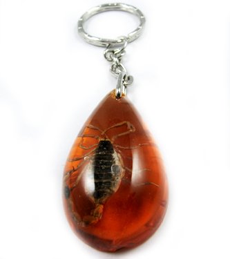 Wholesale Lot 6 Insect Bug Key Chain Keyring Scorpion#2