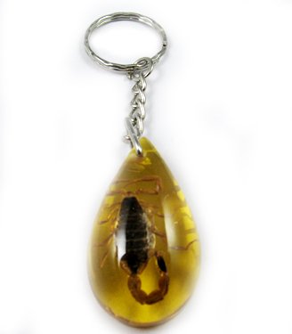 Wholesale Lot 6 Insect Bug Key Chain Keyring scorpion