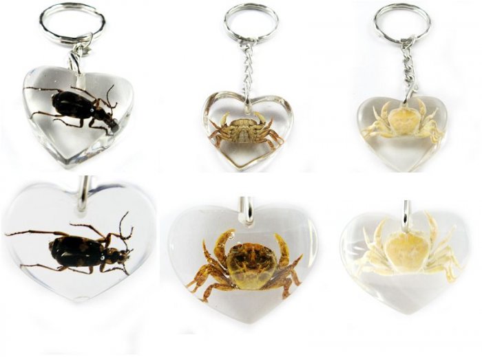 Wholesale Lot 6 Insect Bug Heart Key Chain Keyring New