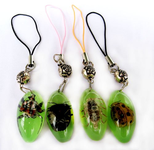 Wholesale Lot 12 Oval Insect Bug Cellhphone Mobile Strap String