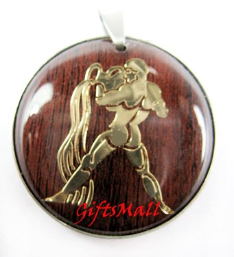 Horoscope Zodiac Constellation Red Round Necklace Pendant Aquarius