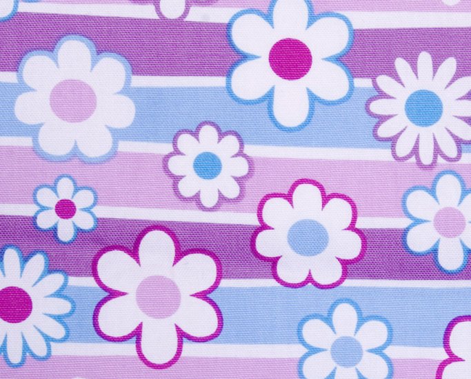 Flower and stripe//blue//cotton//oxford