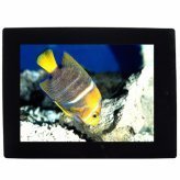 10.2 Inch Digital Photo Frame - Pictures + Videos + Music