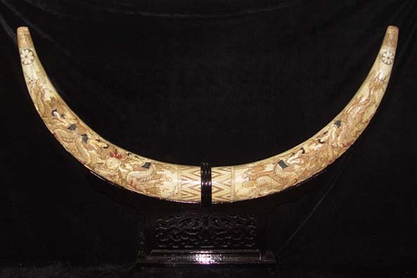 Nice Old Bone Art Handcarft Double Dragon Tooth Decoration