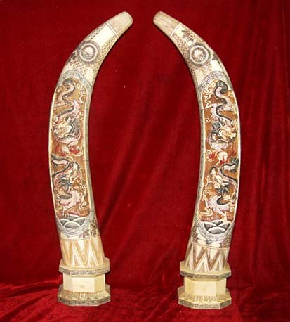 Nice Old Bone Art Handicraft Two Dragon Play Sun Design Pair Tooth