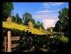 Garden*12*