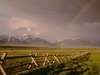Carpathians*25*