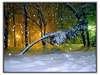 Winter*47*