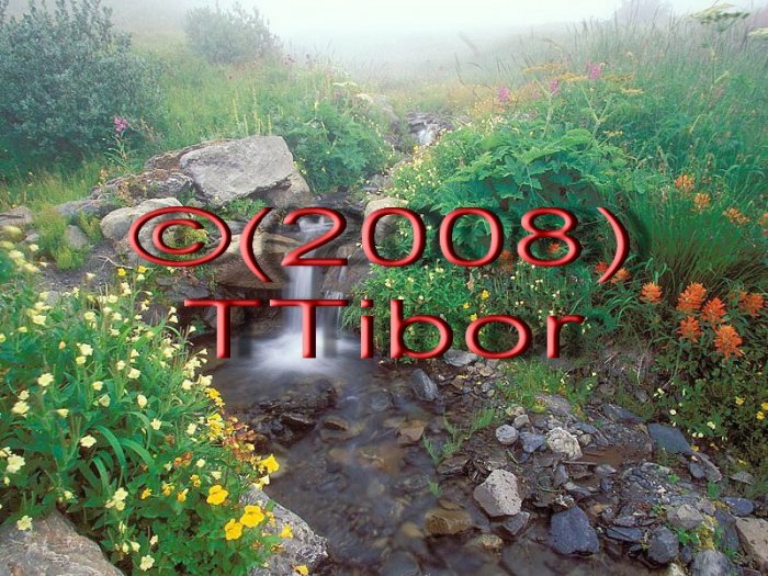 Garden*68*