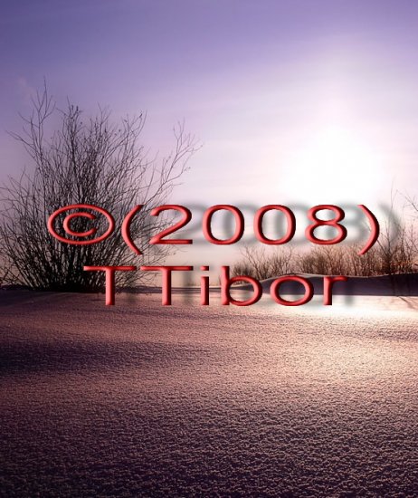Winter*52*